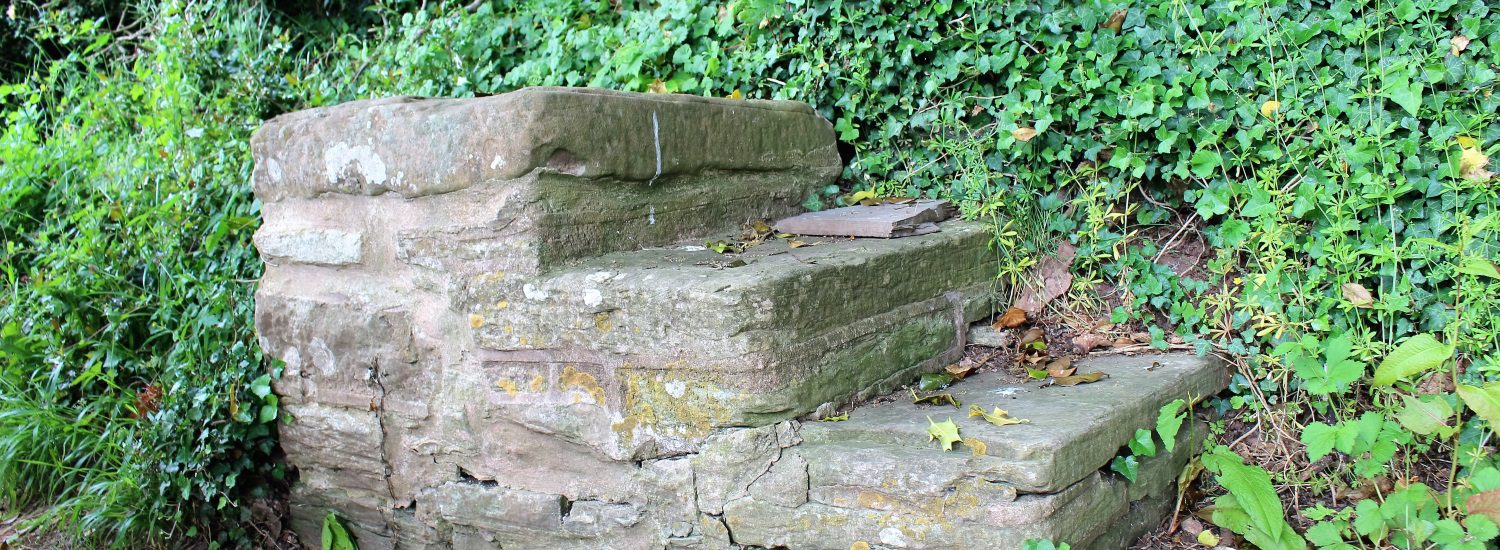 Stone steps once used by people getting into carriages