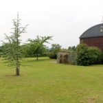 Green field with building and trees