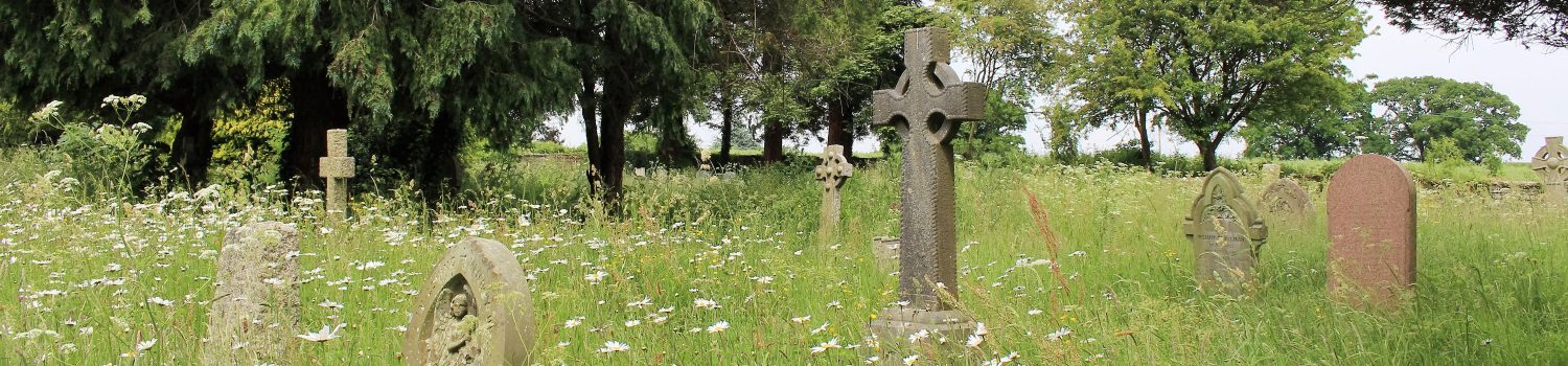 the churchyard showing gravestones