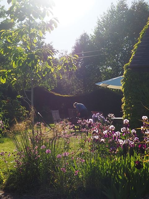 Man in garden bent over digging with flowers in foreground