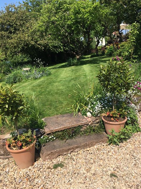 Lawn with a tree and stone steps