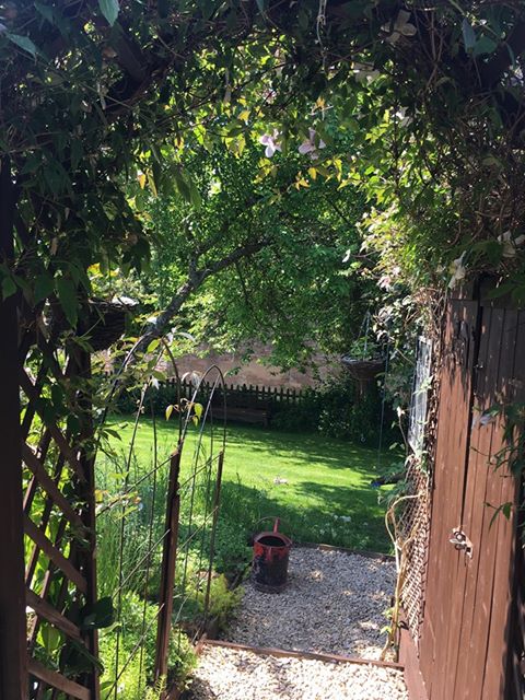 View of a lawn through a gate