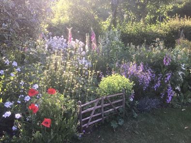 Mixed border with red, white and green flowers