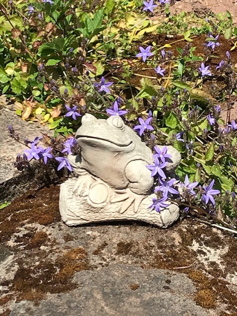 Purple flowers and a frog statue