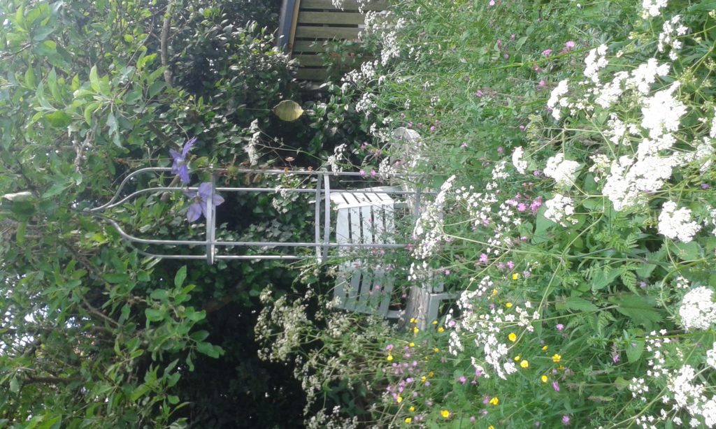 White and pink flowers surrounding a tree seat