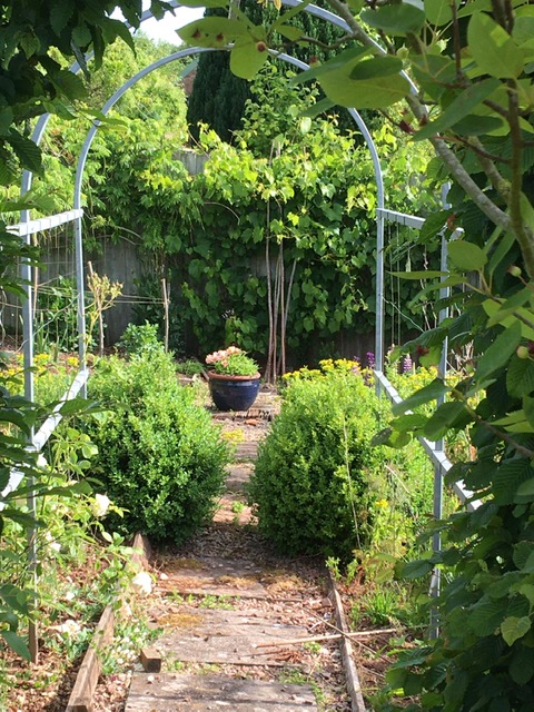 View through a metal arbour to a tub of flowers