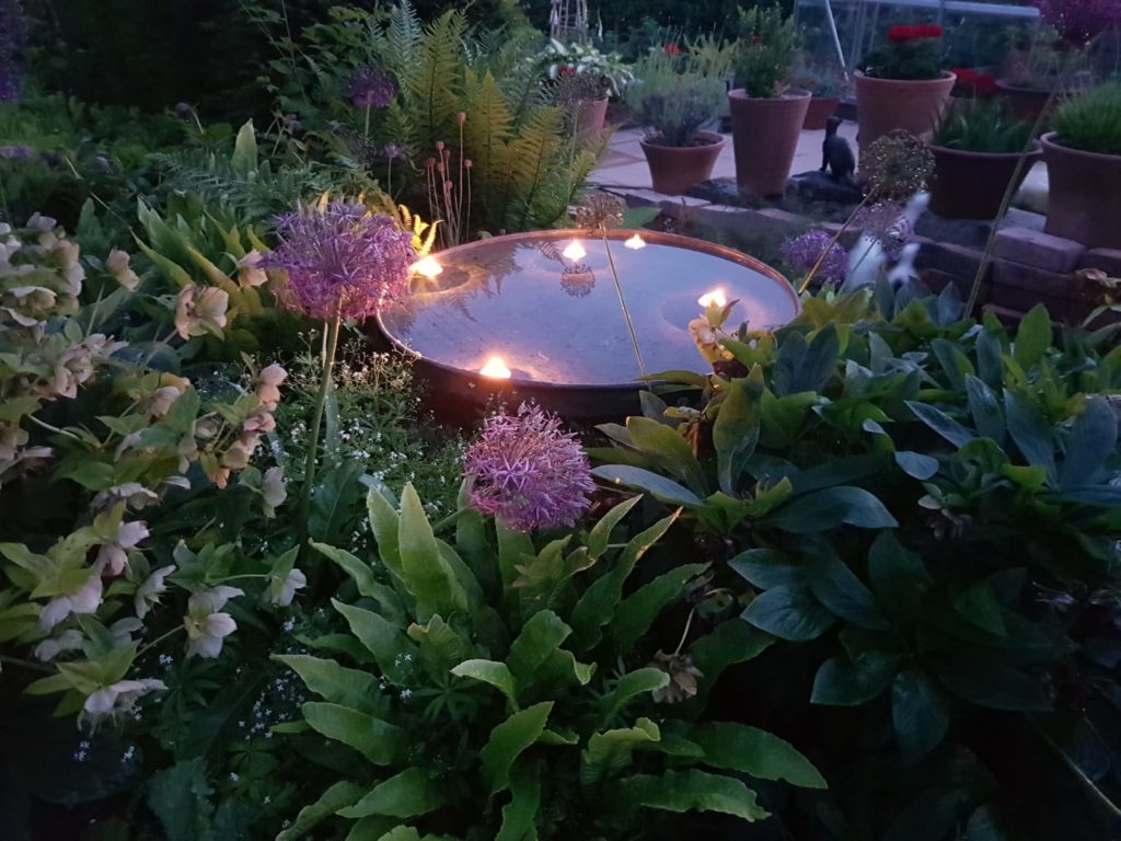 A water feature with floating lights in a garden