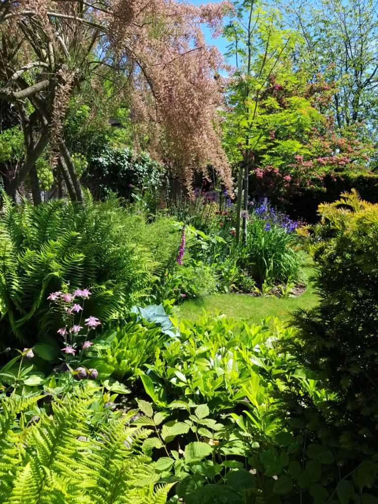 Pink and blue flowers in a mixed border with trees behind