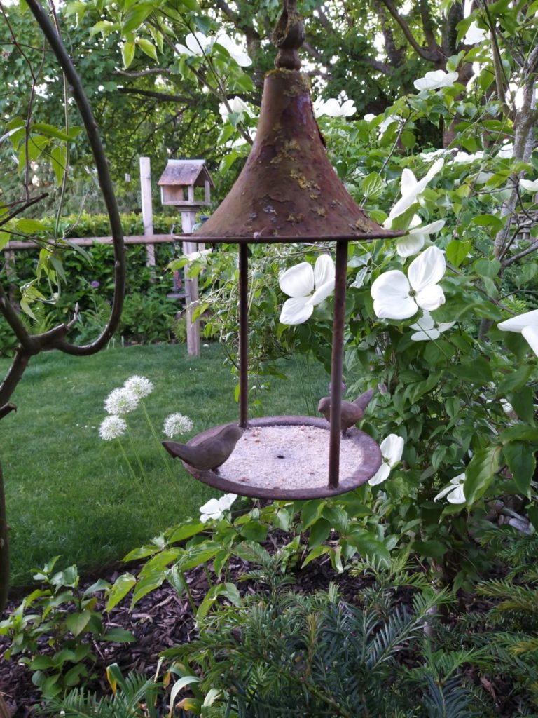 white flowers and a metal bird feeder