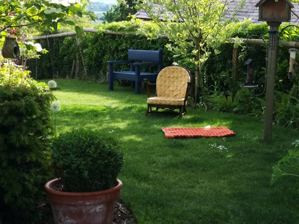 Two chairs in a garden surrounded by hedges