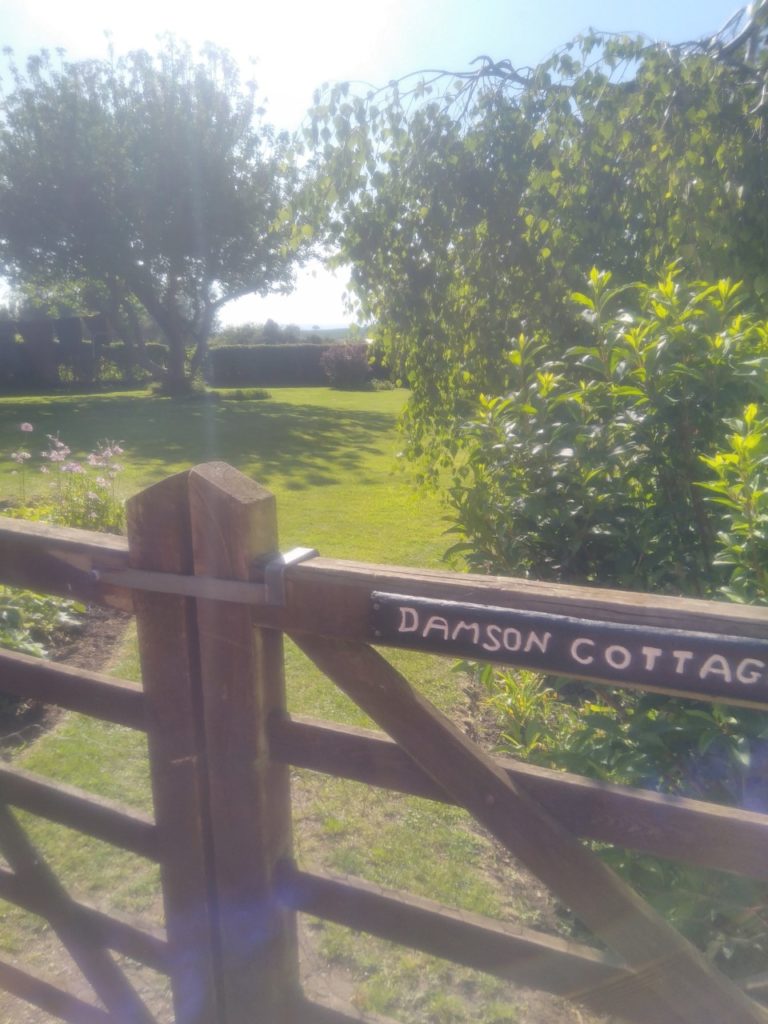 View over fence to garden with lawn and trees