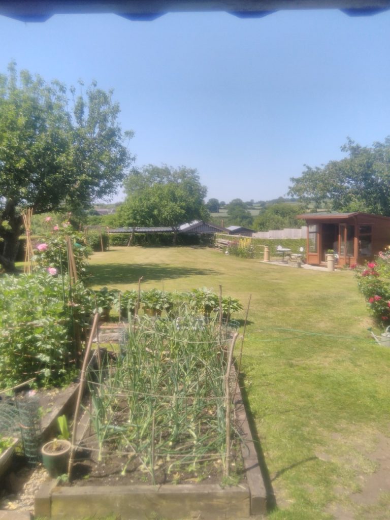 Vegetable patch, lawn and summerhouse