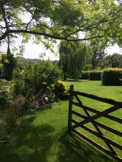 Open wooden gate leading to lawn, flower border and a weeping willow tree