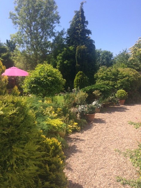 A path with a mixed border of flowers and a pink umbrella