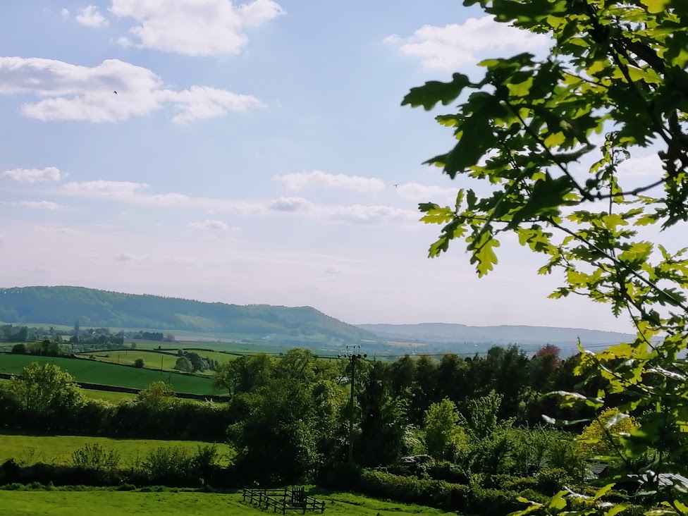 View across fields towards Penyard