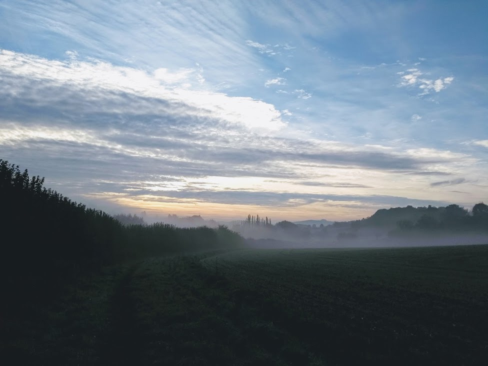 Mist above fields