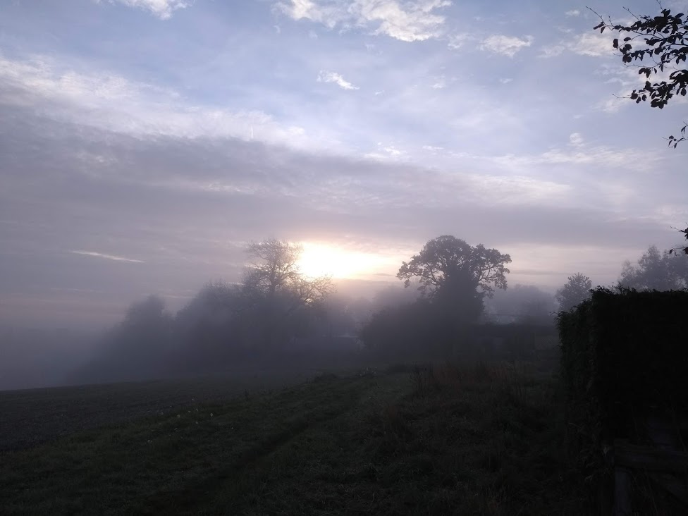 sunshine coming through the mist in the countryside