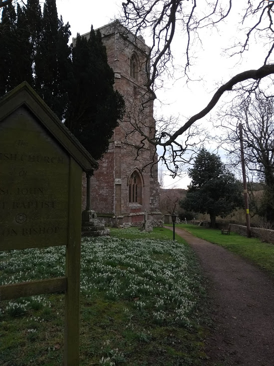 snowdrops blooming in the church yard