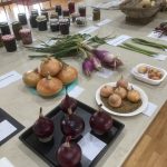 Jars of jam and groups of onions on a table