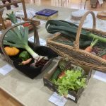 Photo of vegetables in trays on a table