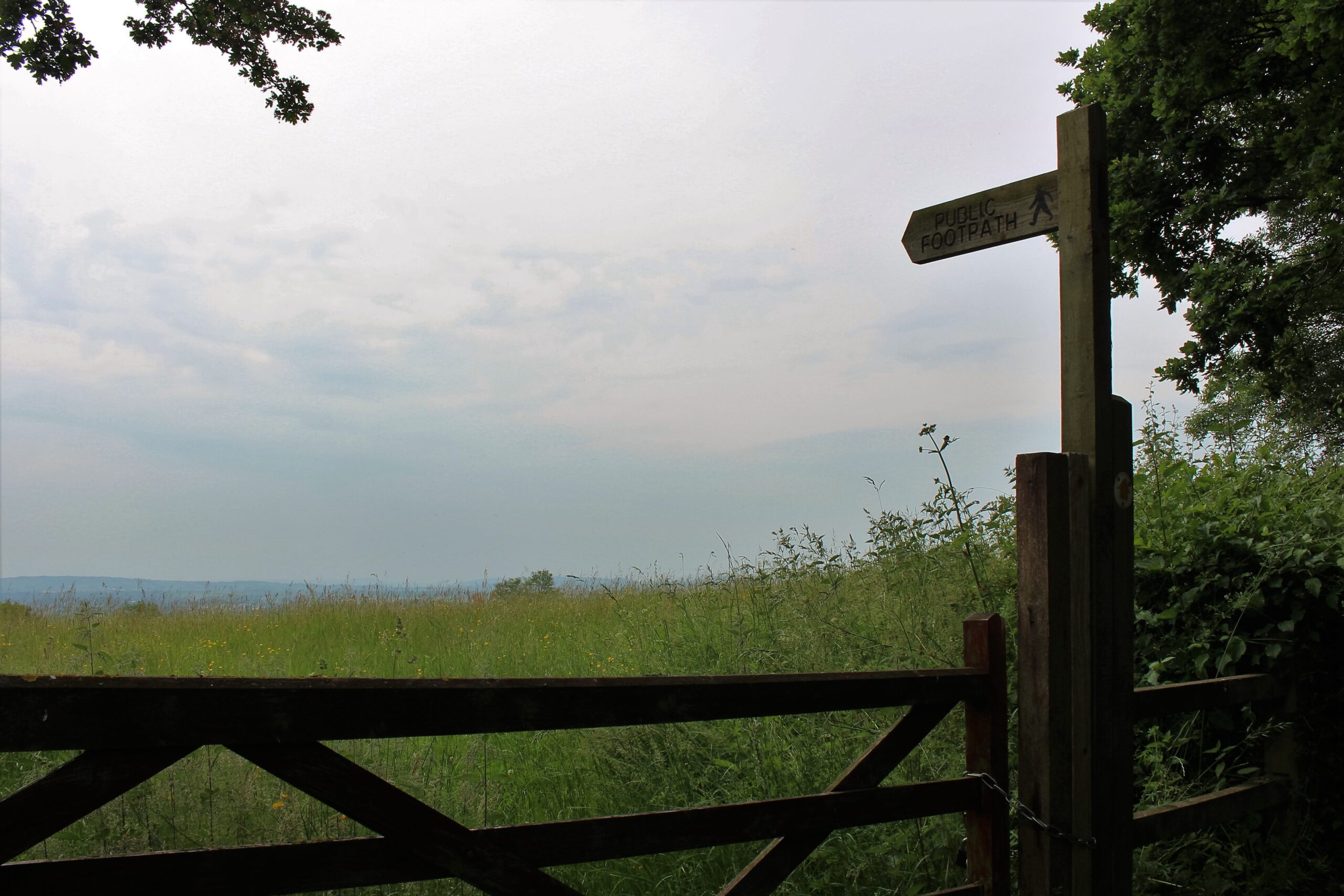 Footpath sign pointing towards the horizon