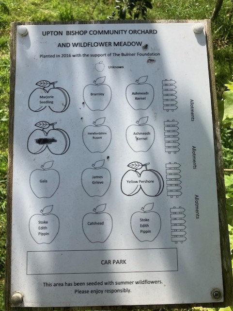 map of the community orchard showing the variety of fruit trees