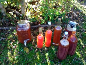 bottles of freshly squeezed apple juice